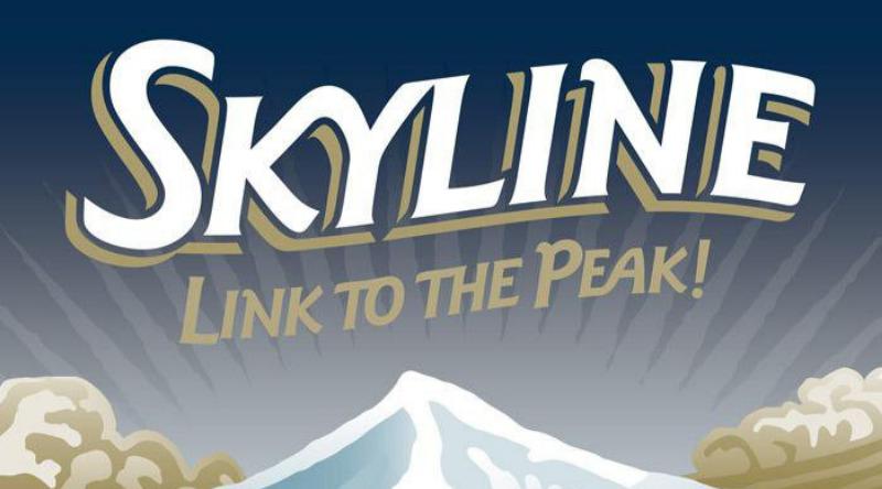 Skyline Link Express