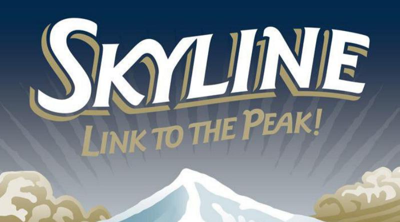 Skyline Link Express